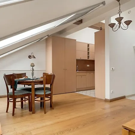 Apartment Cozy In Old Town Vilnius